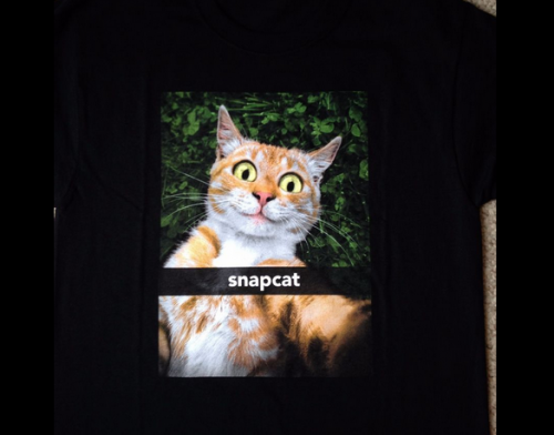 snapcat